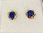 Kultainen Vuokko  tähti nappikorvakoru tumman sinisellä kivellä KK209